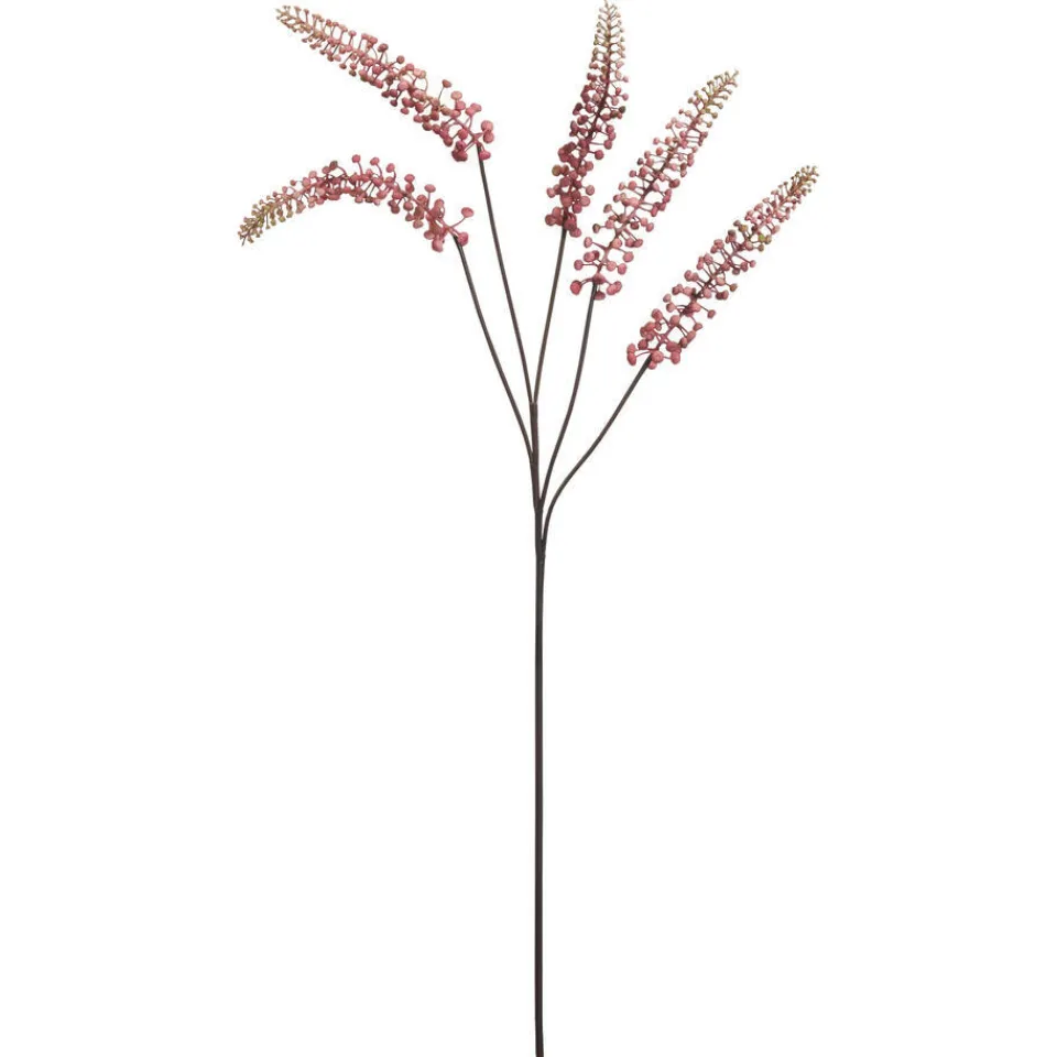 Kwantum Bloem Phytolacca Roze
