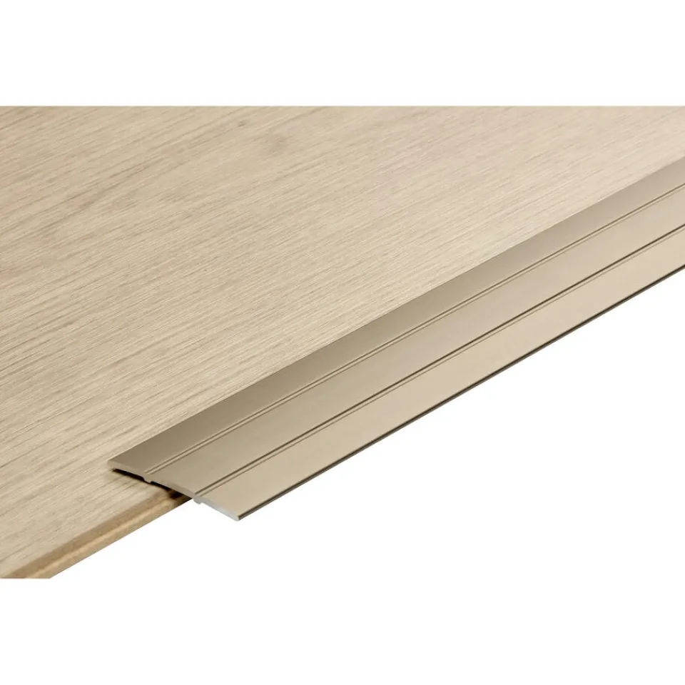 Kwantum Dilatatieprofiel Staal Rvs 100 Cm