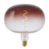 Kwantum LED Lamp 22x22,5 Cm Bruin E27 Dimbaar