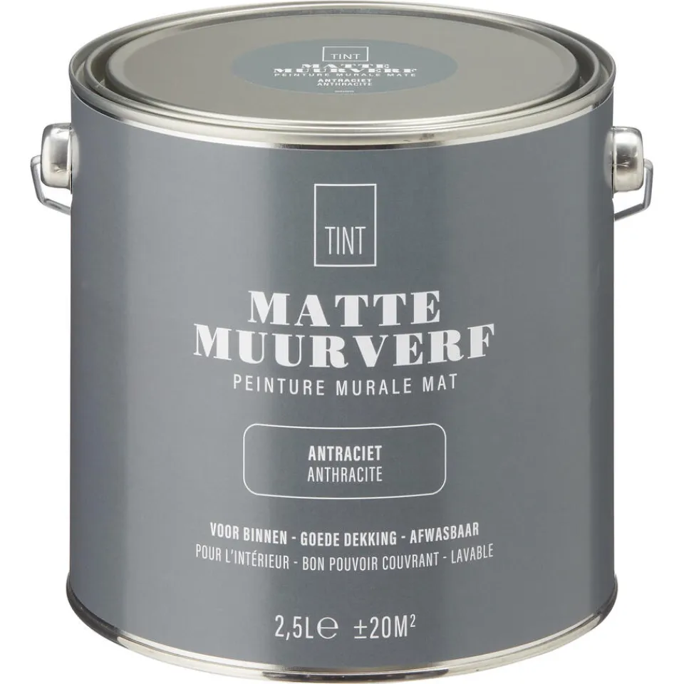Kwantum Muurverf Mat Antraciet 2.5 L